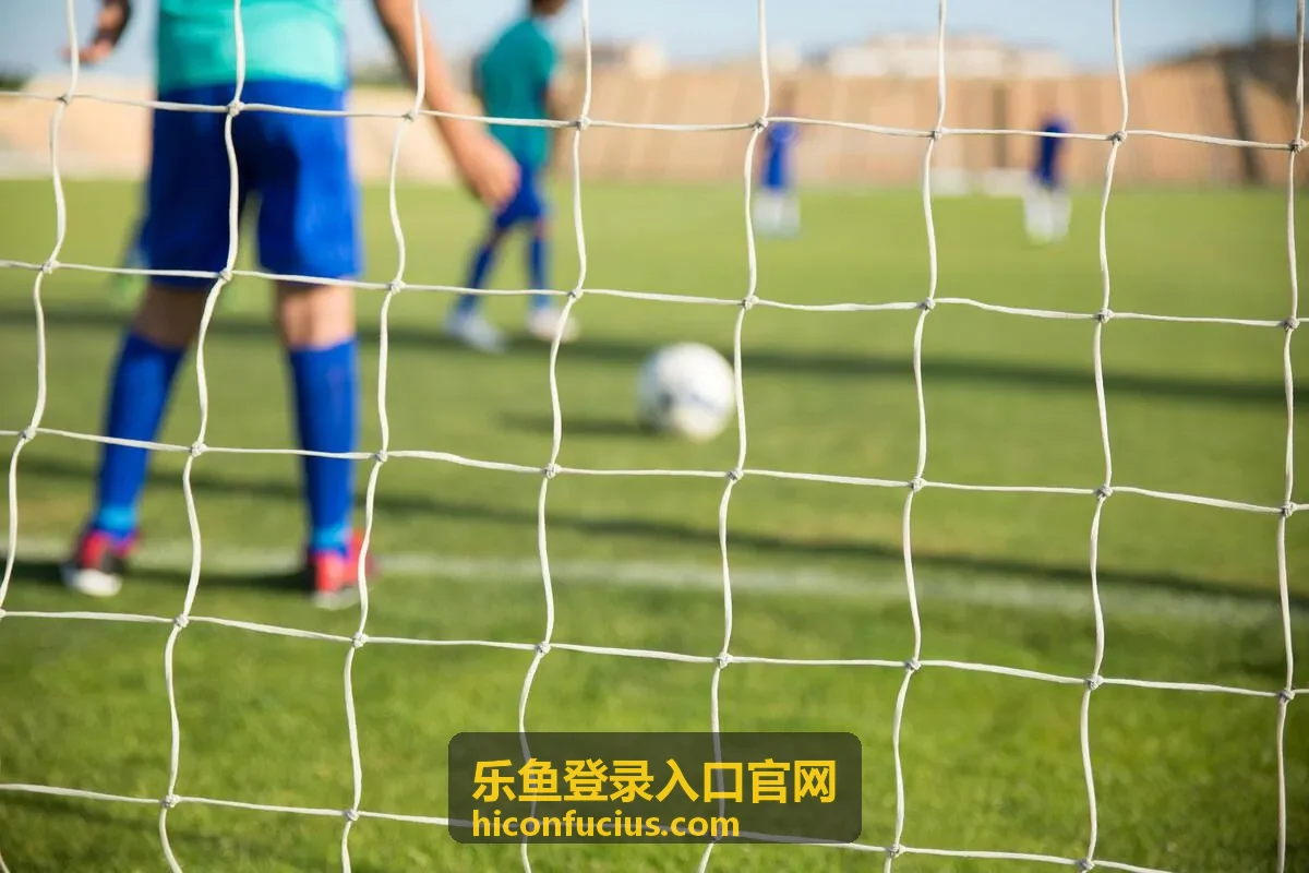 乐鱼登录入口官网使用帮助与客户端教程