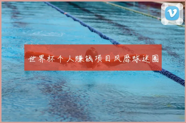 世界杯个人赚钱项目风靡球迷圈