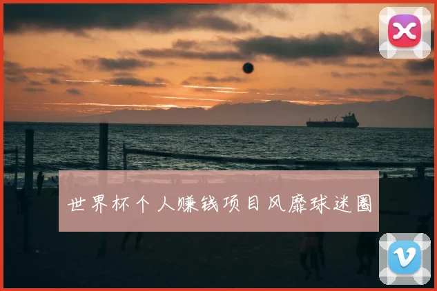 世界杯个人赚钱项目风靡球迷圈